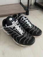 Nike TN AirMax Plus gr. 42.5 Rheinland-Pfalz - Kaiserslautern Vorschau