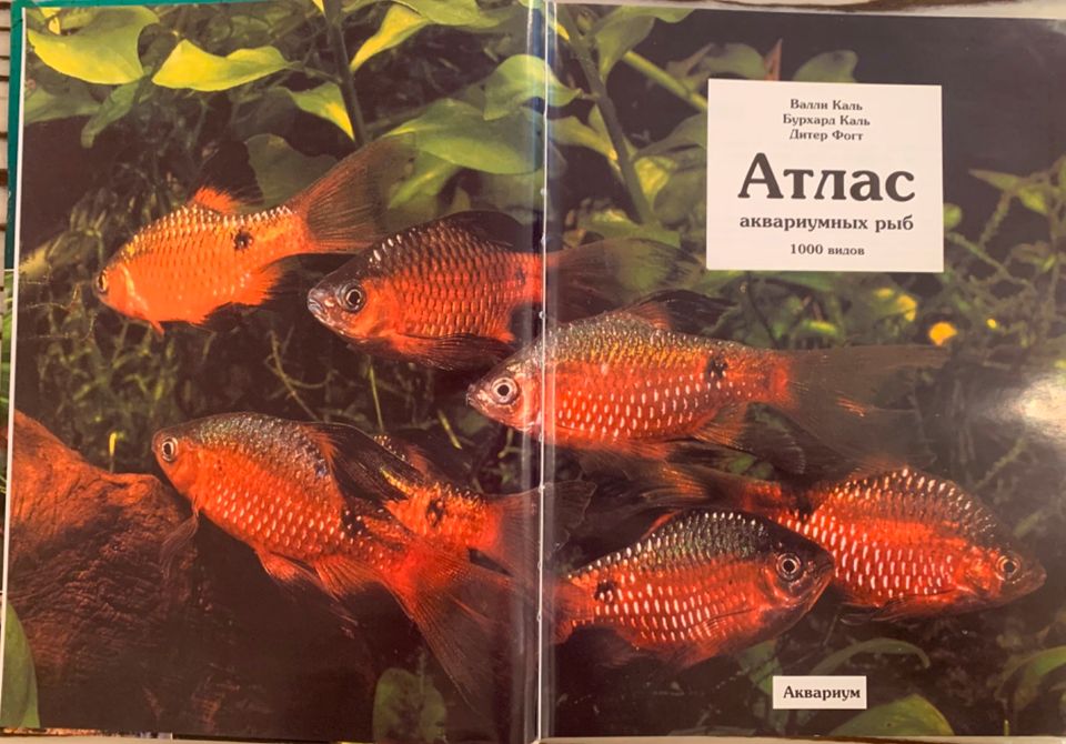 Bücher auf Russisch Атлас аквариумных рыб, 1000 видов in Düsseldorf