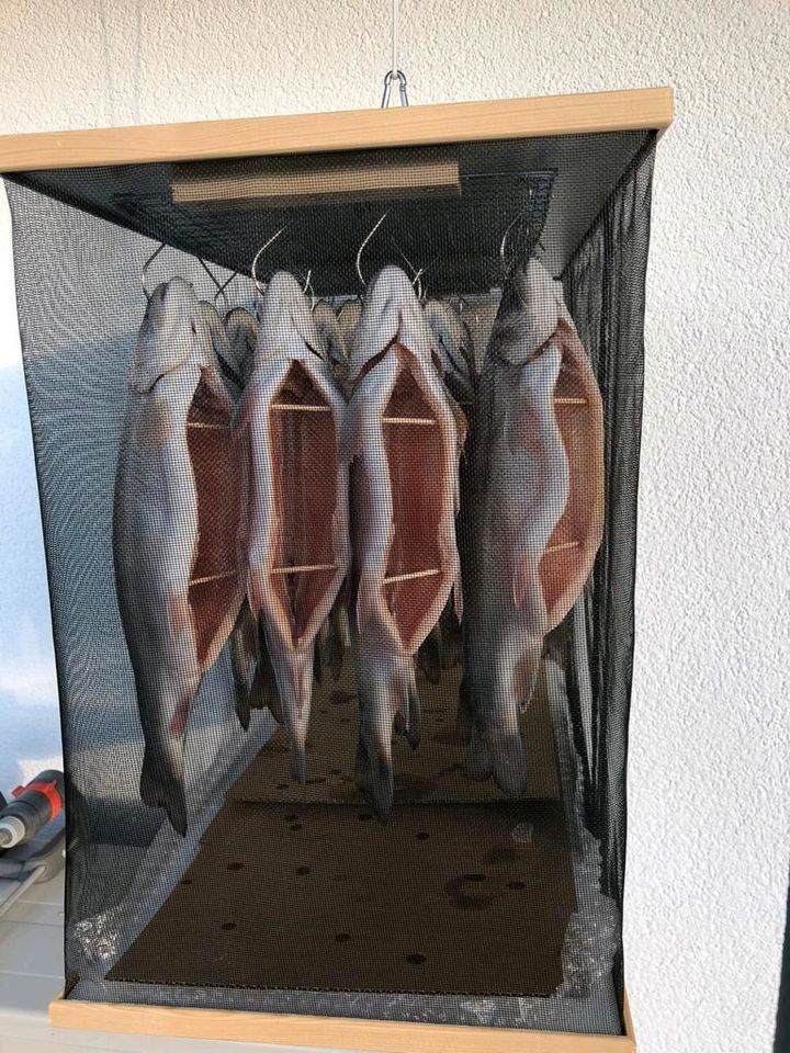 Reifeschrank für Fleisch Wurst Fisch in Regensburg