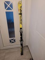 Fischer Wordcup GS SKI Carbon Kern 175cm Bayern - Vilsheim Vorschau