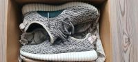 Yeezy Turtle dove (supreme,balenciaga) Baden-Württemberg - Breisach am Rhein   Vorschau