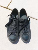 Converse All Star Gr.39 München - Schwabing-Freimann Vorschau