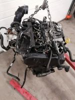 MOTOR DFC 2.0 TDI KOMPLETT Nordrhein-Westfalen - Ratingen Vorschau