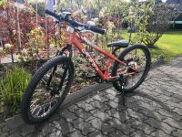 Fahrrad Felt 24" Mountainbike MTB Sachsen - Chemnitz Vorschau