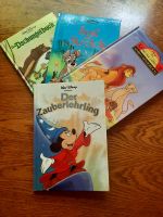 Kinderbücher Walt Disney Niedersachsen - Frelsdorf Vorschau