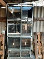 Terrarienanlage / Terrarium / Terrarien / Aluminiumstecksystem Brandenburg - Calau Vorschau