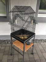 Vogelvoliere / Käfig mit rollbarem Käfig-Ständer Rheinland-Pfalz - Kastellaun Vorschau