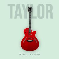 Taylor T5 Custom Gitarre Nordrhein-Westfalen - Remscheid Vorschau