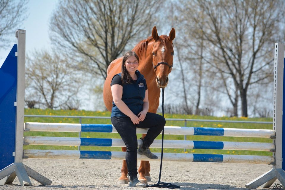 MKA Horsemanship, mobil, Bodenarbeit, Reiten, Pferdetraining in Kirchdorf an der Iller