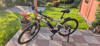 Haibike SDURO HardNine 2.0 29 Zoll Hessen - Ober-Ramstadt Vorschau