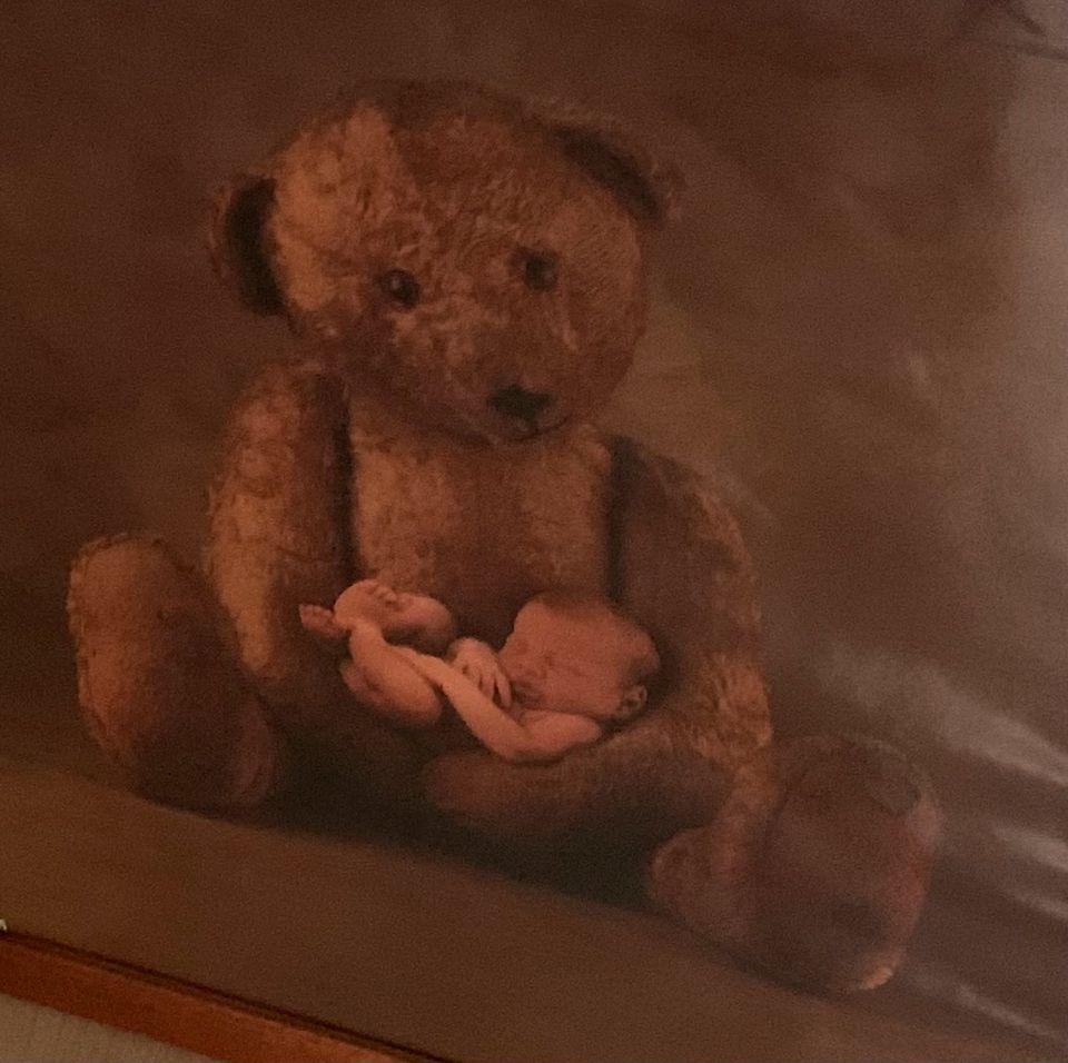 Bild von Anne Geddes Teddy mit Baby im Rahmen mit Glas in Köln