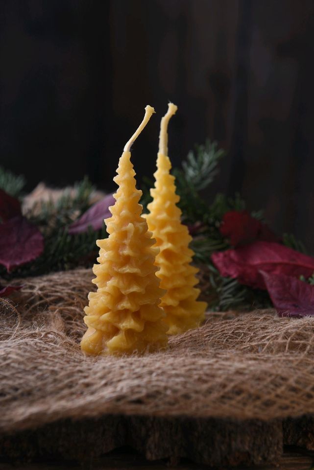 Bienenwachs Kerze Weihnachtsbaum Geschenk adventskranz in Dresden