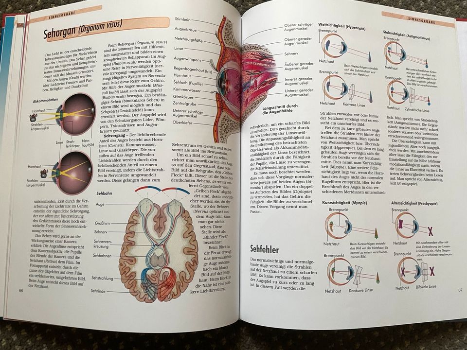 Der Körper Erlebniswelten wissen Buch w Neu in Zeuthen