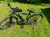 Fahrrad Rayman E-Bike Pedelec Niedersachsen - Weyhe Vorschau