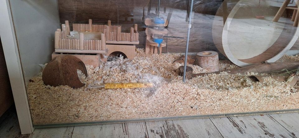 Nagarium für Hamster in Werne