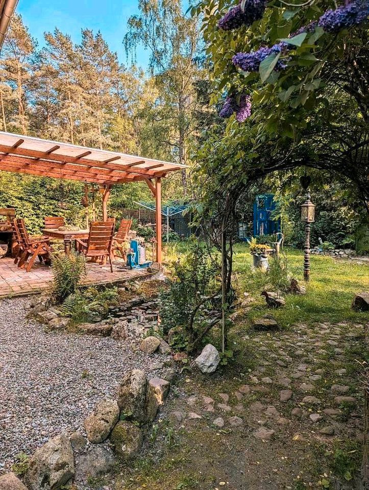 Naturparadies mit Sauna & Einliegerwohnung- von privat, mit Video in Neustadt am Rübenberge