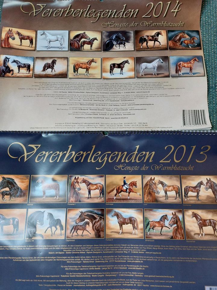 Kalender Siegerhengste in Bockhorn
