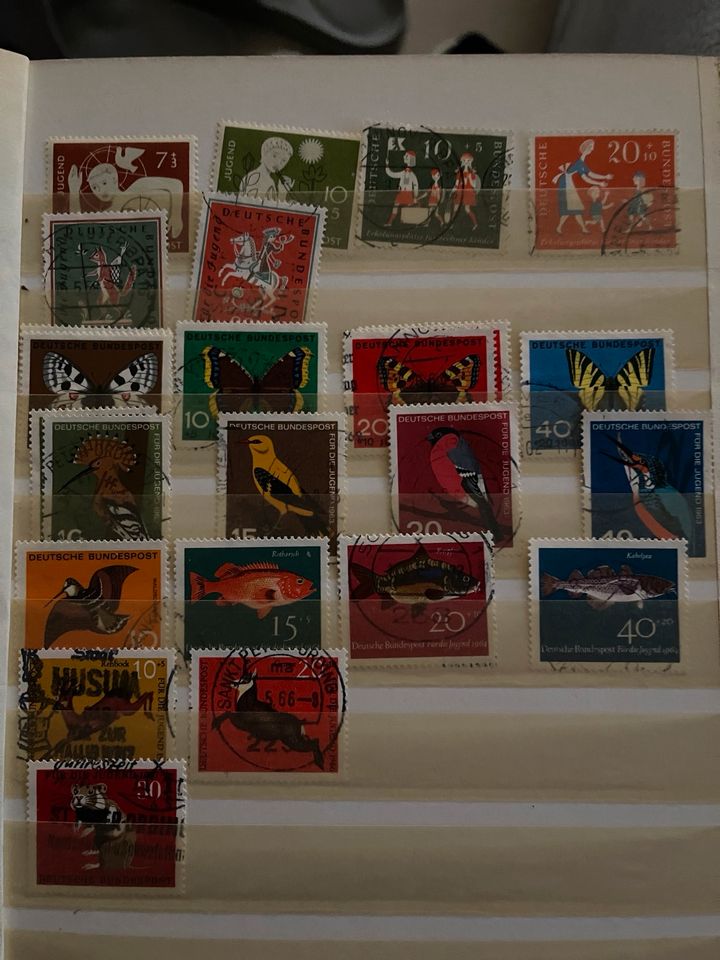 Briefmarken Sammlung - Schätze Best of… in Bingen