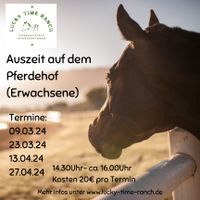 Auszeit auf dem Pferdehof Niedersachsen - Rhauderfehn Vorschau