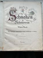 Schnaken und Schnurren von Wilhelm Busch 1922 Sachsen - Böhlen Vorschau