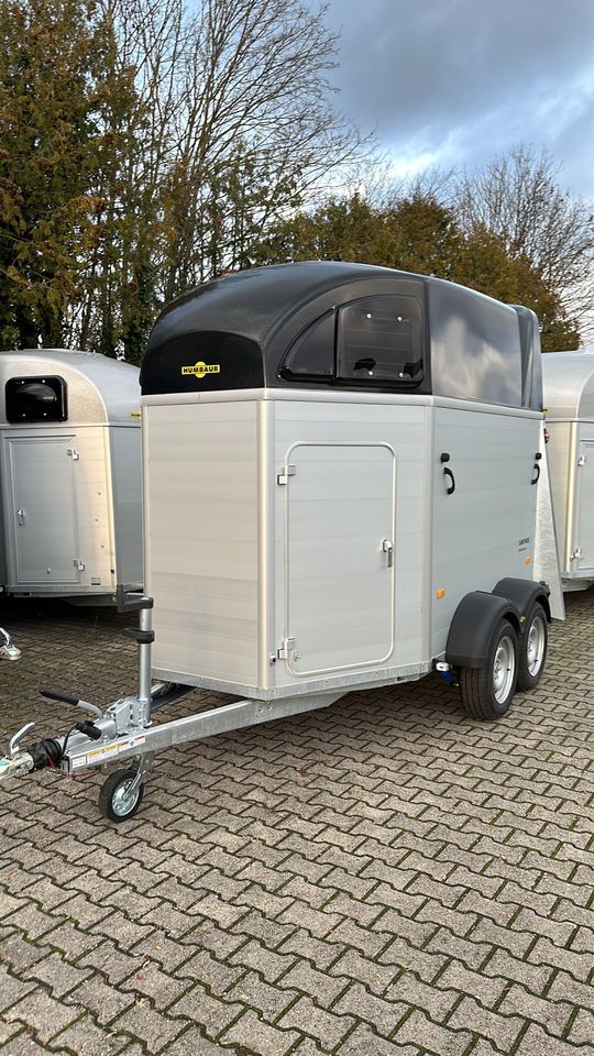 HUMBAUR Xanthos 2400, SK,‼️GRATIS Seitenpolster‼️, Pferdeanhänger in Biblis