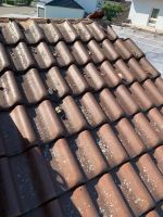 Dachplatten zu verschenken m.Lademöglichkeit Tonziegel Dachpfanne Bayern - Pfaffenhofen a. d. Roth Vorschau
