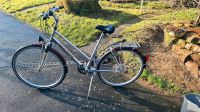 Pegasus Laola 28", voll gefedert, Shimano 21 Gang, Shimano Brakes Hessen - Söhrewald Vorschau