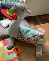 Fisher Price 4 in 1 Lama Nordrhein-Westfalen - Ostbevern Vorschau