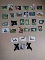 Panini Sticker - Pferde Geschichten / Horses Stories 1998 Nordrhein-Westfalen - Lindlar Vorschau