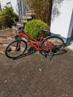 Cube Curve Pro 28 Zoll Damenfahrrad 24 Gang Kettenschaltung rot R Rheinland-Pfalz - Blankenrath Vorschau