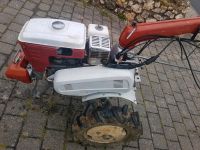 Honda F800 Einachser Gartenfräse hacko Agria iseki Kubota Holder Rheinland-Pfalz - Reidenhausen Vorschau