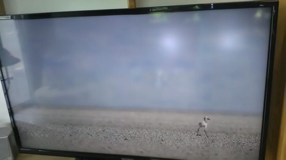 Fernseher Telefunken in Metten