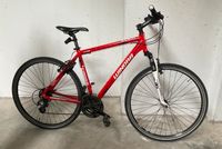 Winora Dubai Mountainbike Rot Shimano Tourney Altus Hardtail Bayern - Zirndorf Vorschau