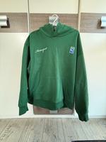 FLGNTL Puma Hoodie Größe M L Pullover Sachsen - Heidenau Vorschau
