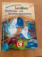 Kinderbuch Leselöwen Dachbodengeschichten mit ca Baden-Württemberg - Winterlingen Vorschau