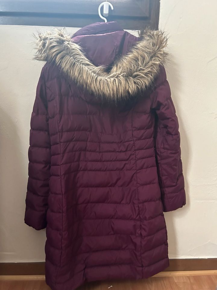 Tommy Hilfiger Parka M Lila in Kail
