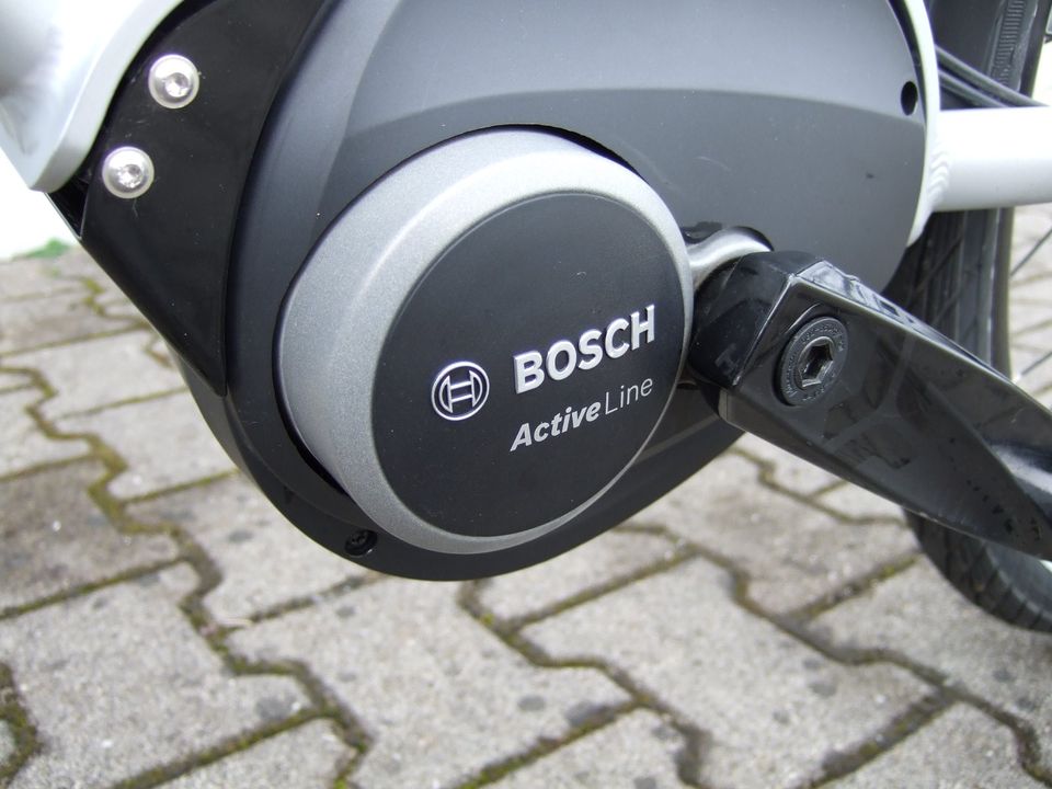 Carver Cityzen E.310 RT, Bosch, Rücktrittbremse, 261 km, RH 60/XL in Reisbach