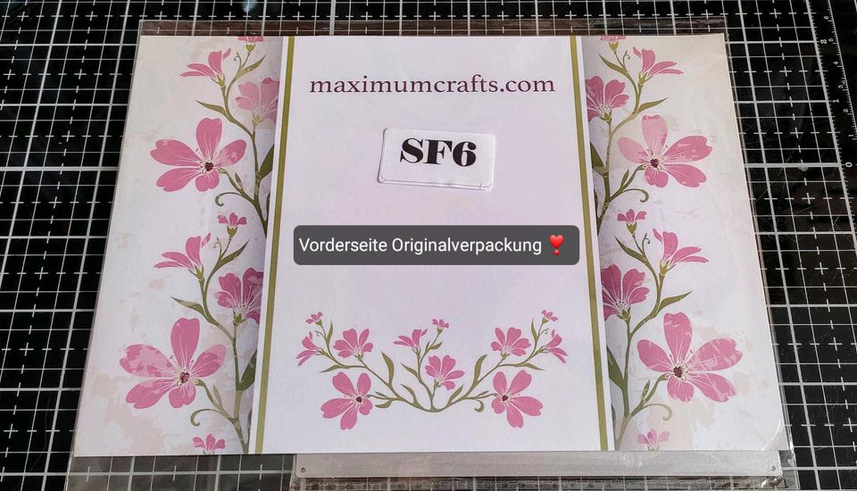 ♡MAXIMUM CRAFTS♡2 Rahmen-Stanzen im Set für 6 x 6inch Karten♡ in Weyhe