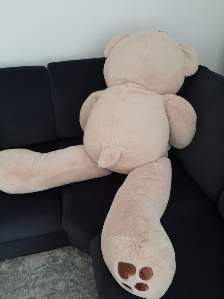 Teddybär groß in Iserlohn