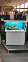 Biete Aquarium an ohne Schrank 180l Friedrichshain-Kreuzberg - Friedrichshain Vorschau