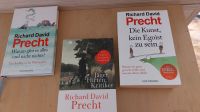 Richard David Precht, Jäger, Hirten, Warum gibt es alles, Kunst Niedersachsen - Osnabrück Vorschau