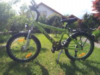 Raleigh Max 20 Zoll Kinderfahrrad Mountainbike MTB Dynamo 7 Gang Baden-Württemberg - Buchen (Odenwald) Vorschau