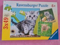 Ravensburger Puzzle Katzen Niedersachsen - Bad Laer Vorschau