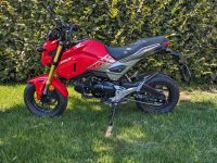 Honda MSX 125, B196 Bayern - Graben (Lechfeld) Vorschau