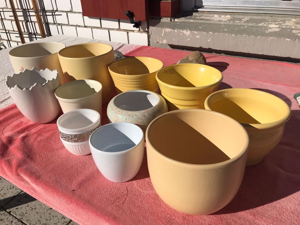 Verschiedene Blumentöpfe verschiedene Farben Garten Pflanzen in Oberreute