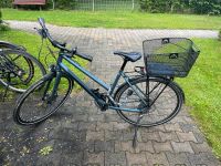 Damen Trekkingrad Stevens Baden-Württemberg - Ehingen (Donau) Vorschau