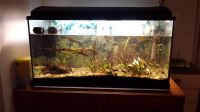 Juwel Aquarium 80cm Baden-Württemberg - Obersulm Vorschau