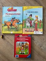 Pferde Geschichten Buch Kind lesen Sachsen-Anhalt - Bad Schmiedeberg Vorschau