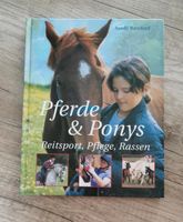 Pferde & Ponys Reitsport, Pflege, Rassen - TOP Nordrhein-Westfalen - Troisdorf Vorschau