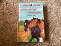 Reiterhof Birkenhain - Grenzenlose Pferdeliebe Niedersachsen - Nottensdorf Vorschau